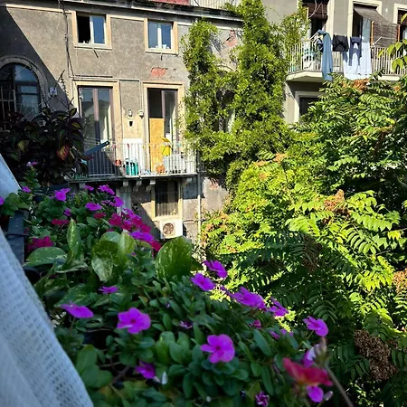 Appartement Zula Art Al Duomo *